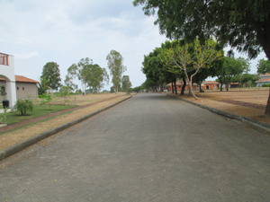 A suburban roadway